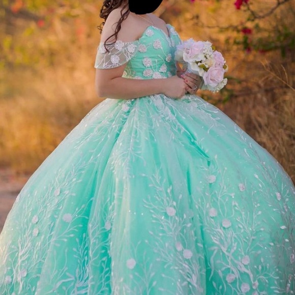 green bachelorette dress ASHLEYlauren 30112 Beaded Glitter Tulle Quinceañera Gown main image 0